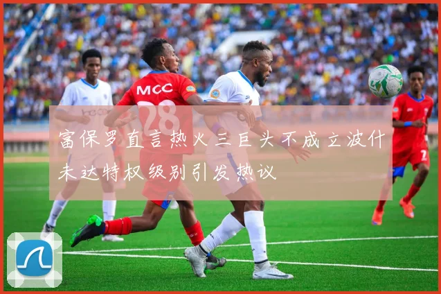 富保罗直言热火三巨头不成立波什未达特权级别引发热议